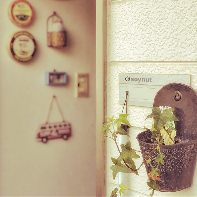 玄関/入り口/DIY/観葉植物/モノトーン/一人暮らし...などのインテリア実例 - 2018-04-08 15:18:41