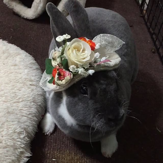 T.hinaさんの実例写真