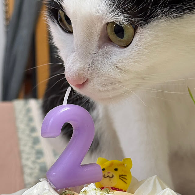 机のインテリア実例 - 2025-06-17 11:59:12