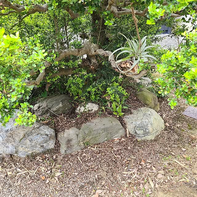 Rubiconさんの部屋