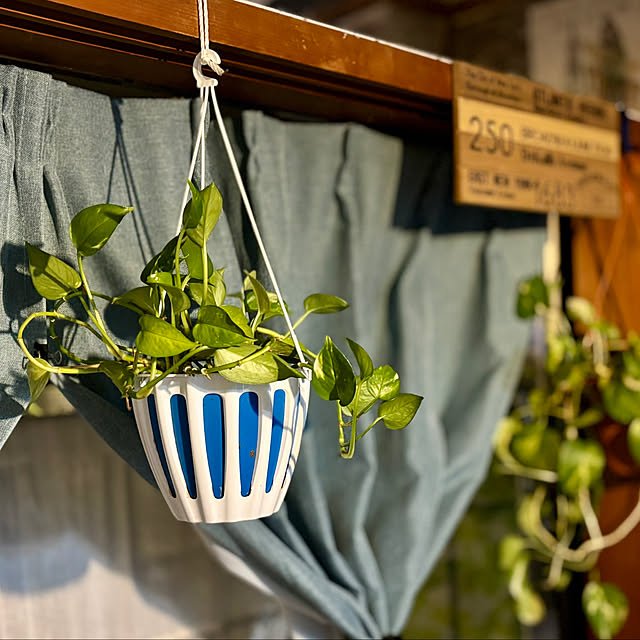 tututu0204さんの部屋