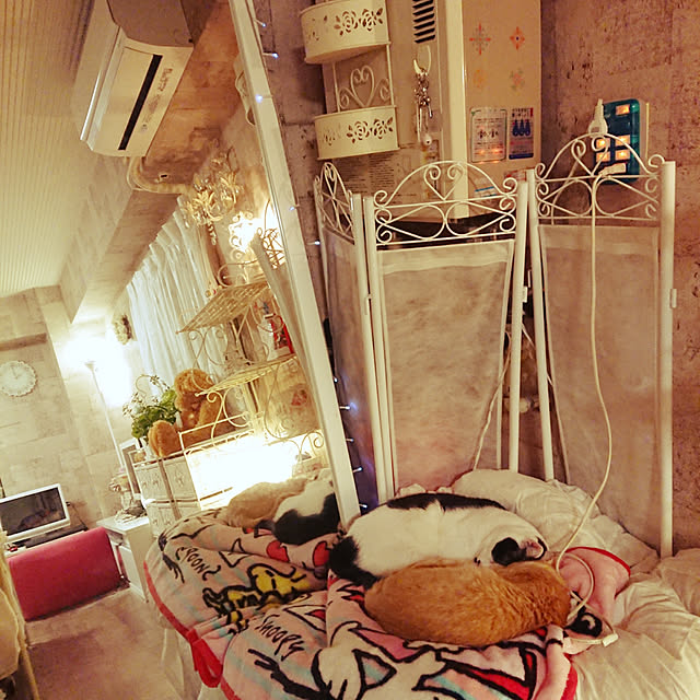 asuminさんの実例写真