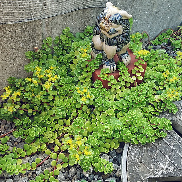 Bienvenueさんの実例写真