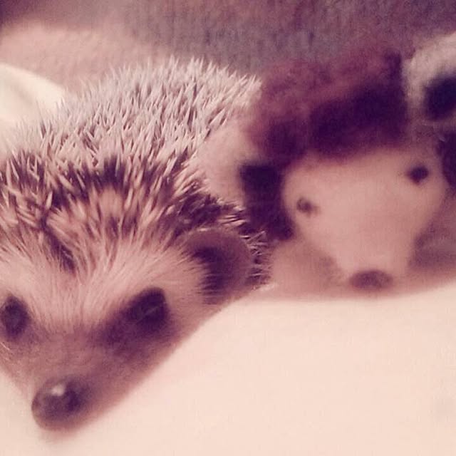 NaoMさんの実例写真