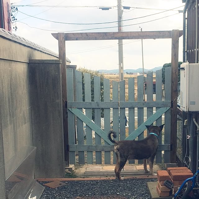 nuiさんの実例写真