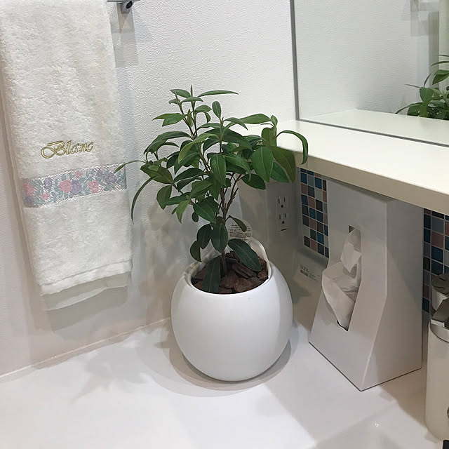 minimaru33さんの実例写真