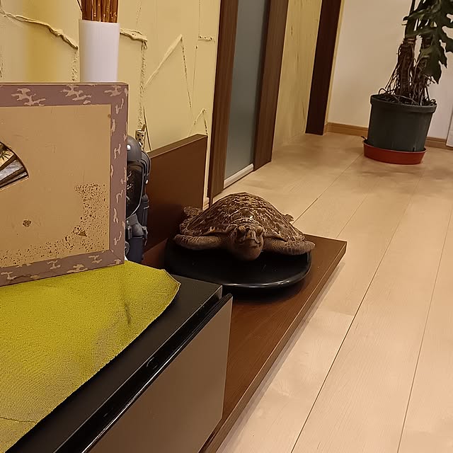 coco1204さんの部屋