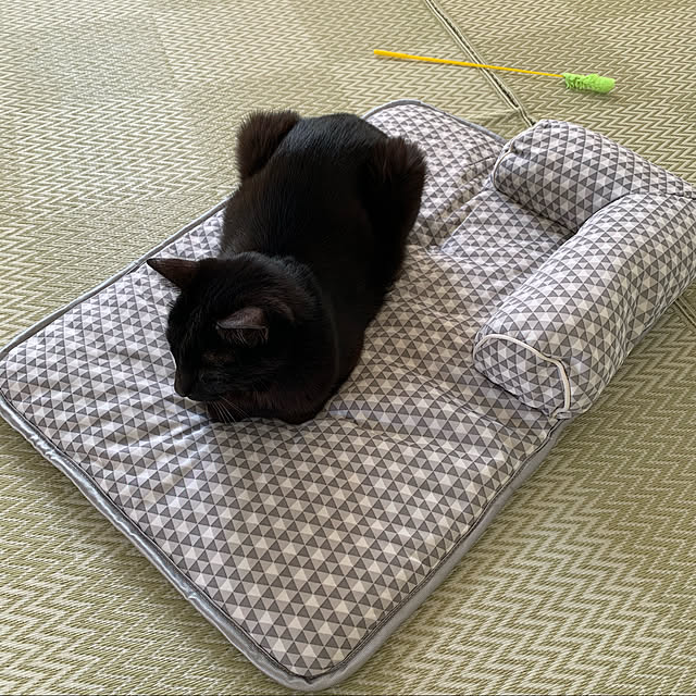 na_koさんの実例写真