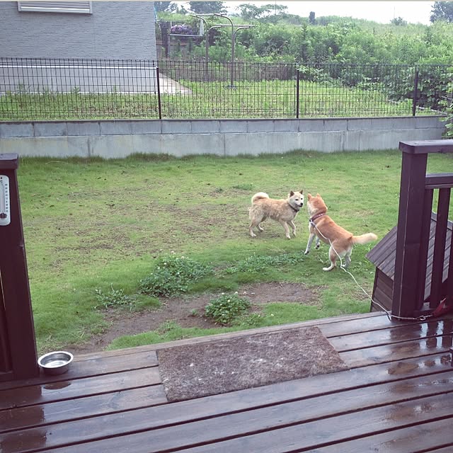 mamiさんの実例写真