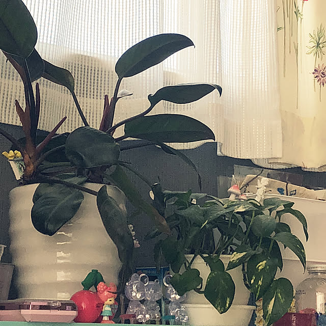 mikiさんの実例写真