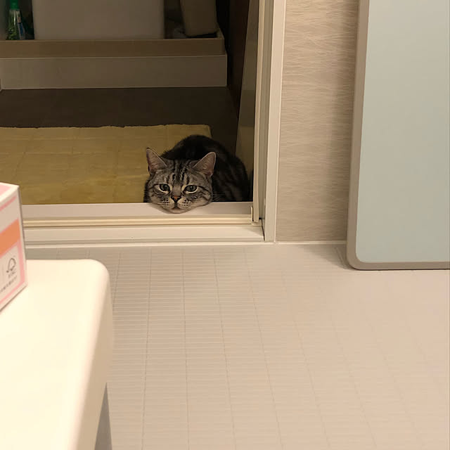 obichanさんの実例写真