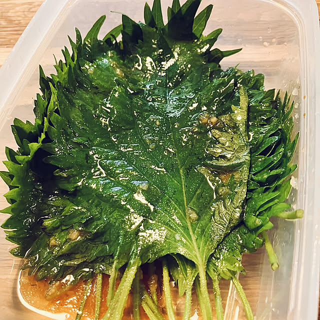 tomorinさんの部屋