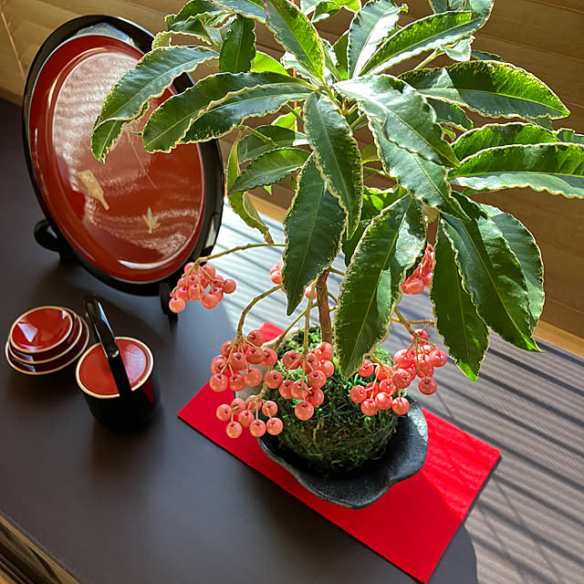 ikubooさんの部屋