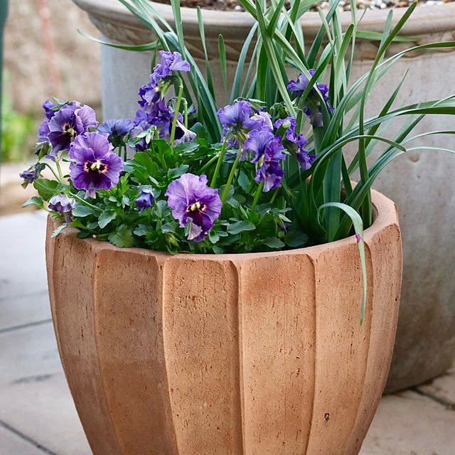 rokokoさんの部屋