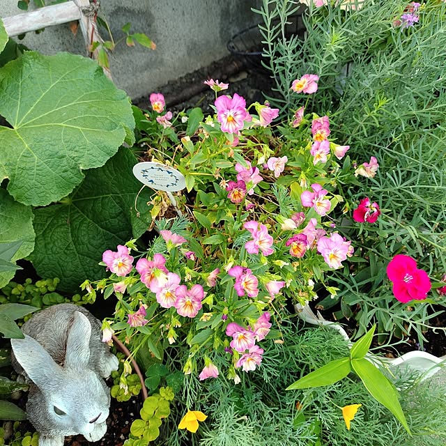 kiraさんの部屋