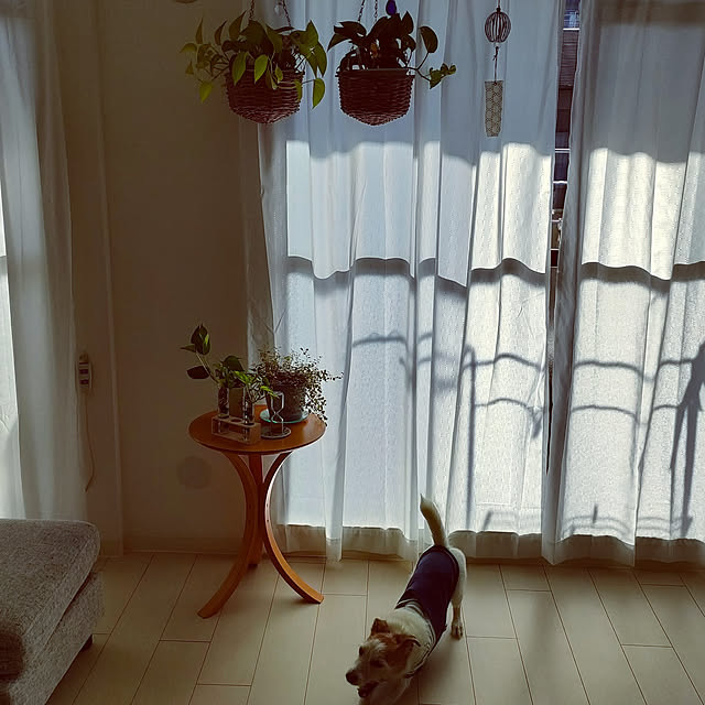 marosukeさんの実例写真