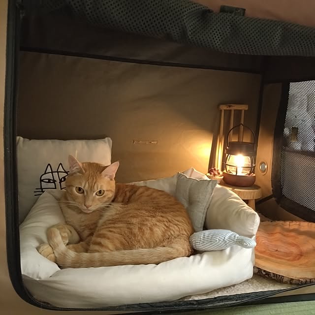 mayutan.さんの実例写真