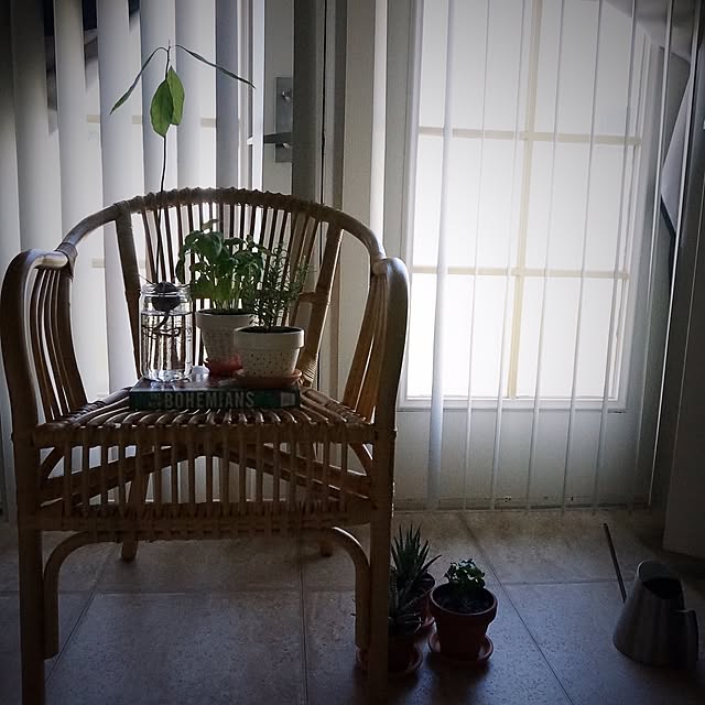 freakycatさんの実例写真