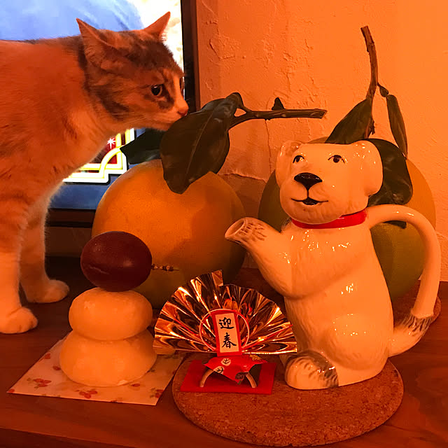sakurasakuさんの実例写真