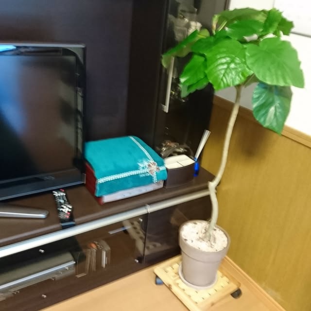 chichi888さんの実例写真