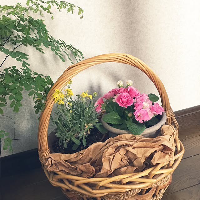 kimkimさんの実例写真