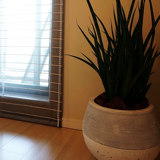 Seanさんの実例写真