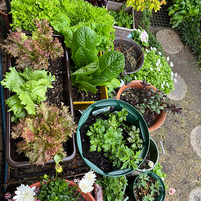 mamizaさんの実例写真