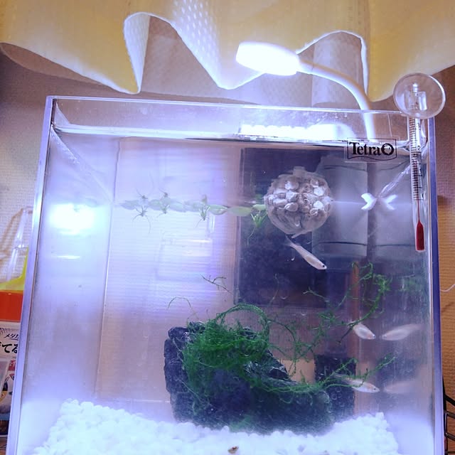 sumomoさんの実例写真