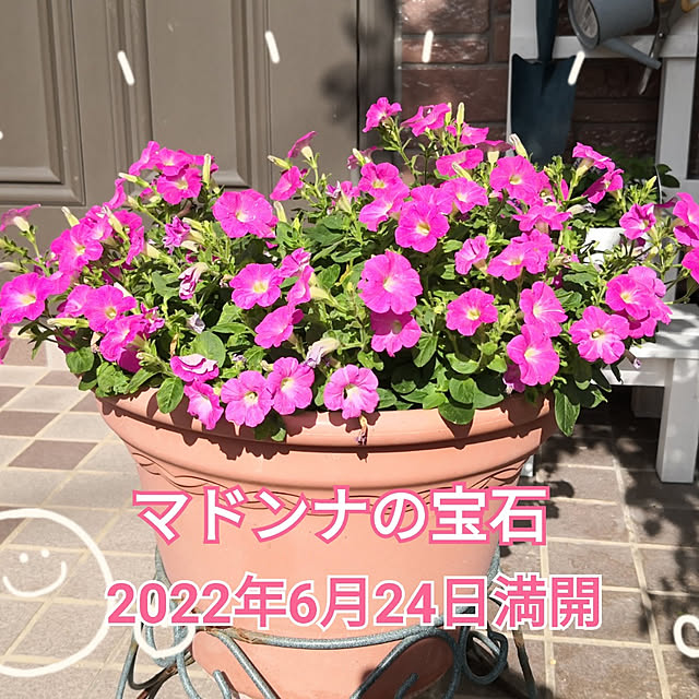 haruruさんの実例写真