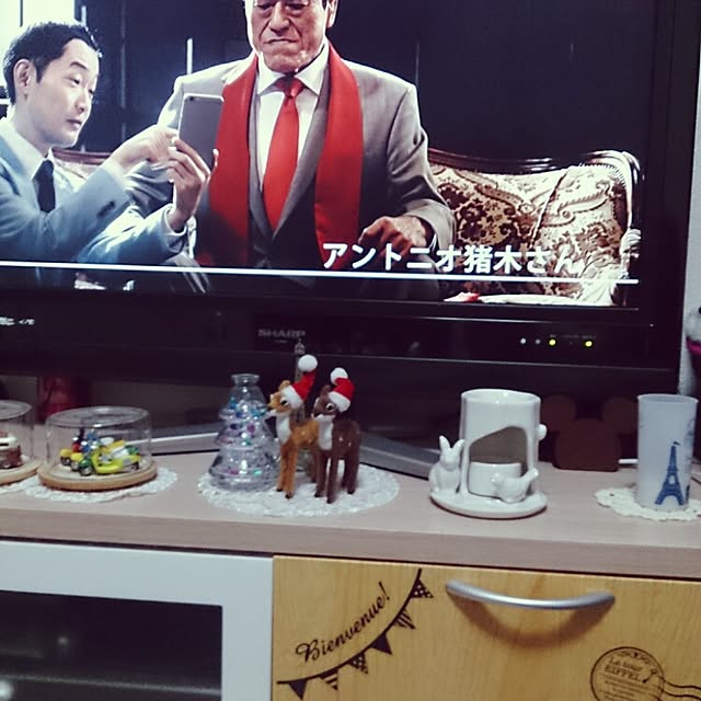 Rukaさんの実例写真