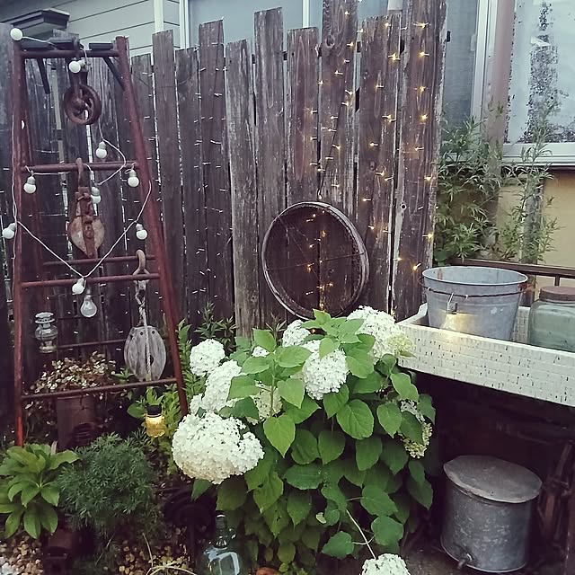 hodohodoさんの部屋