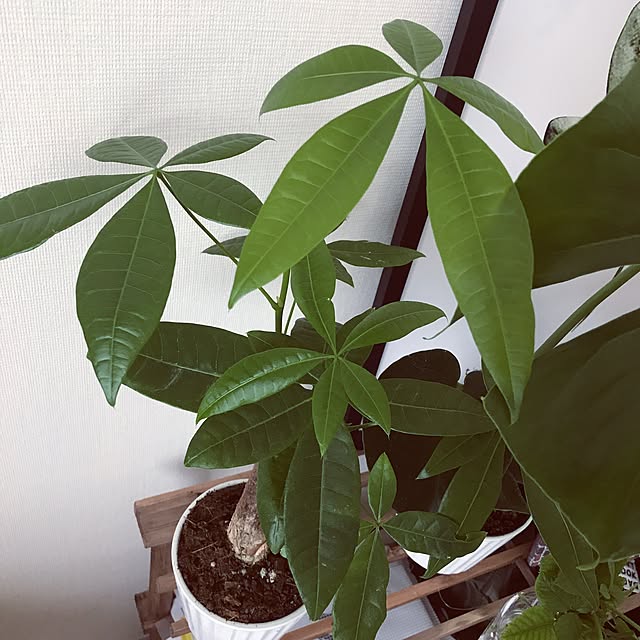 y.hrucさんの実例写真