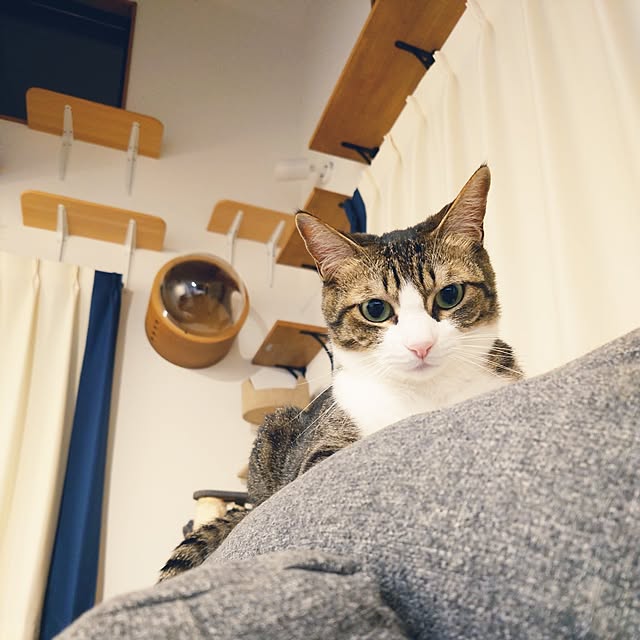 mochicoさんの実例写真