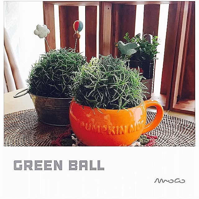 mocov_vmocoさんの実例写真