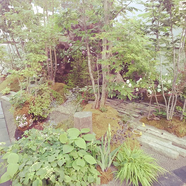 ShizenhaSyokuninさんの実例写真