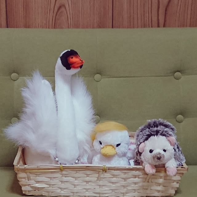 kogumaさんの実例写真