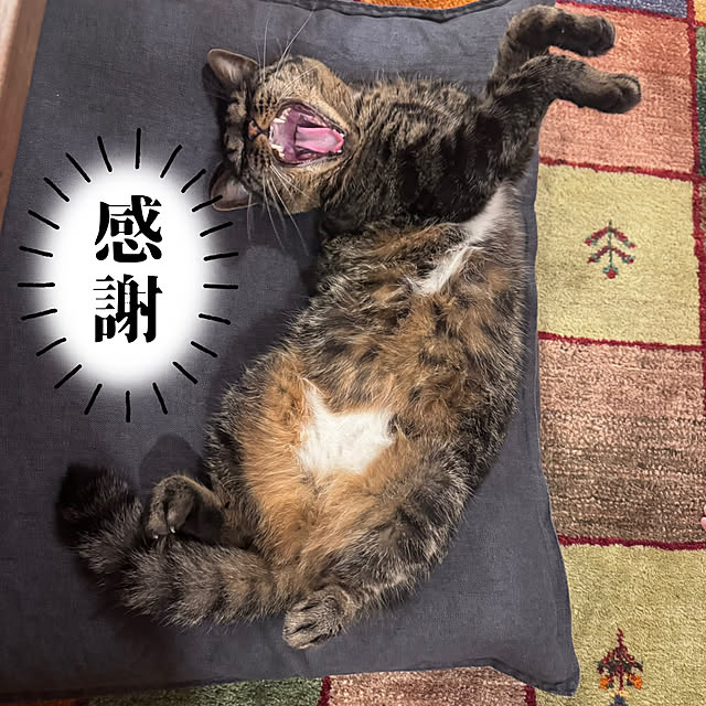 onsix777さんの部屋