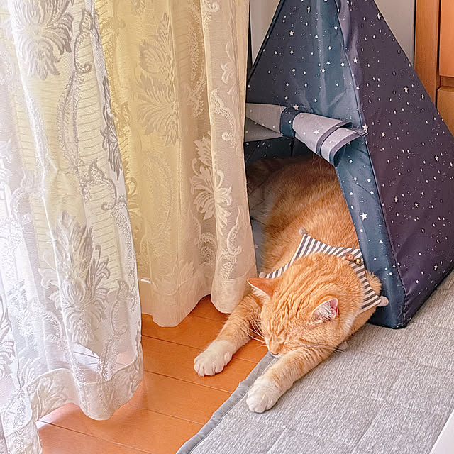 moolさんの部屋