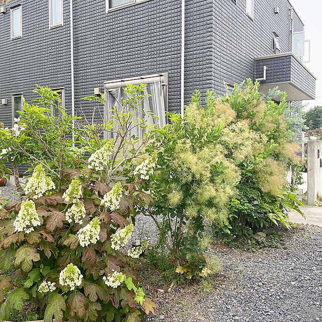 kuuuuさんの実例写真
