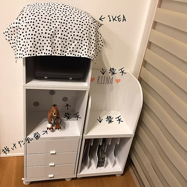 riiさんの実例写真