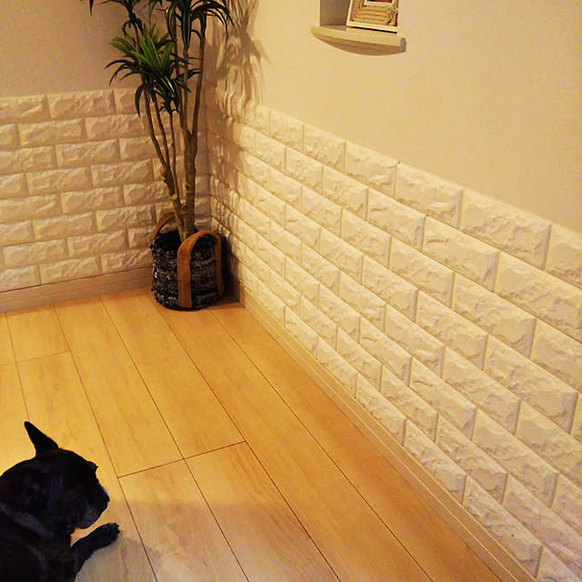 babanaさんの実例写真
