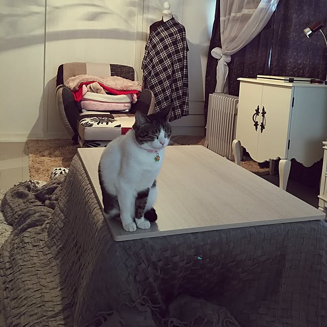 Shihoさんの実例写真