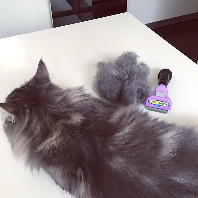 emさんの実例写真