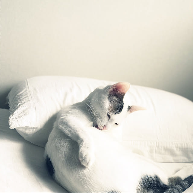 letterさんの実例写真
