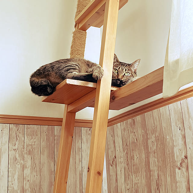 Mさんの部屋
