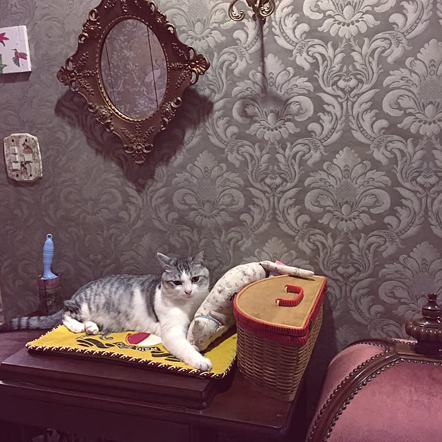 emmyyさんの実例写真