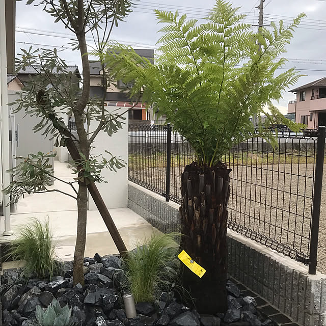 実例写真