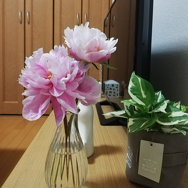 yukiさんの実例写真