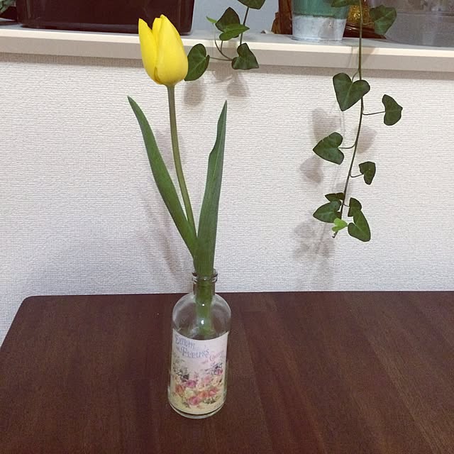 miさんの実例写真