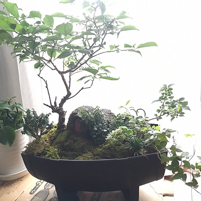 tomo1228さんの実例写真